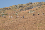 Elterwater-609