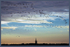 Pinkfoot Geese Fly Over Montrose