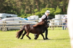 SBM_01888