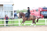 SBM_03208