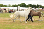SBM_04164