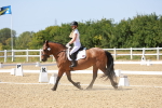 SBM_012602