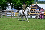 SBM_07800