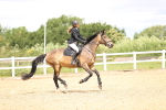 SBM_006469