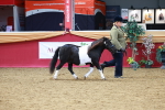 SBM_04196