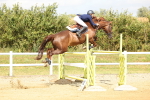 SBM_010986