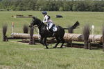 BVHT 140517  IXC -624