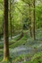 Along the Winding Path