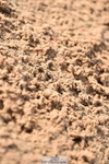 231101A-115042-00151