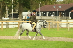 SBM_69849