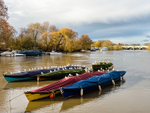 Boats on the Thames at Richmond (1)