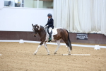 SBM_003291