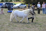 WJ6_4936