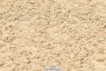 230721A-144734-07099