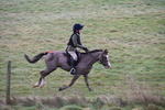 WJ6_9066