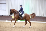 SBM_010080