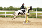 SBM_008549
