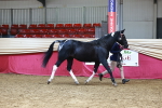 SBM_23064