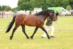 SBM_04310
