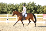 SBM_007779