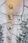 SYNAPSES
