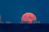 Full Sturgeon moon rising over the Needles - 2