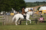 SBM_09636