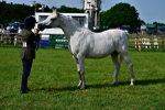 SBM_01041