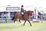 SBM_11170