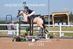 BPP_1291