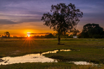Sunstar at Mount Bundy - Adelaide River