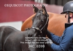 JAC_6598