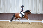 SBM_000851
