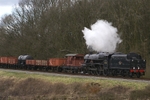 T1073
