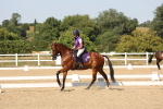 SBM_006393