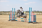 SBM_000333