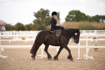 SBM_05325