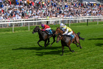 230526-Race 5-Reliable Ricki-0557