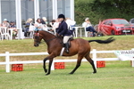 3E7A0934