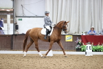SBM_019616