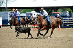 3HRodeo8-11-25_PRCASteer_03821_