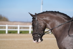 SBM_001859