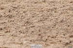 240706A-141513-03027