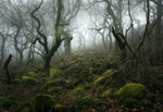 Padley's depths