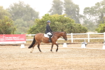 SBM_000965