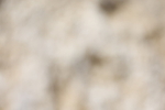 20260802-0710