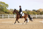 SBM_009185