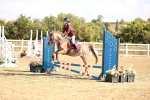 SBM_006286