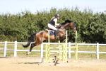SBM_008001
