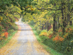 BACK ROAD IN FALL - NORFOLK COUNTY